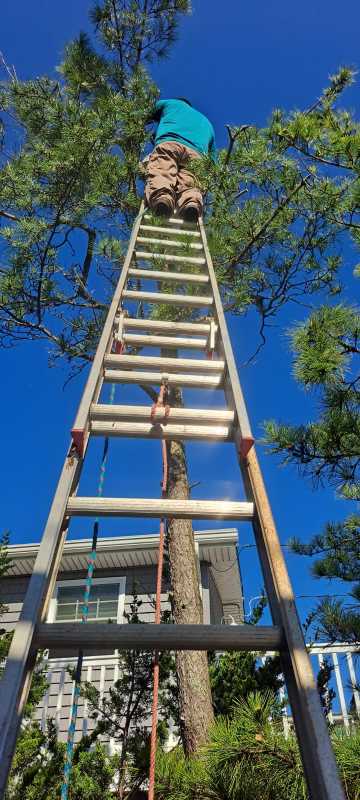 Sandoval Brothers Services LLC